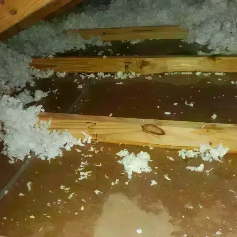 Attic Water Damage in Northlakes, NC