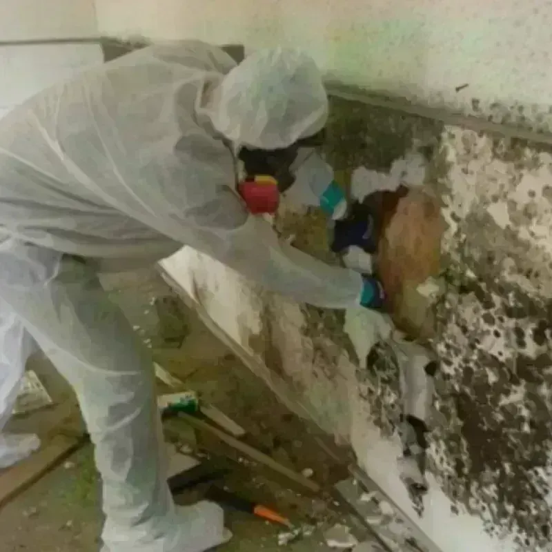 Mold Remediation and Removal in Northlakes, NC